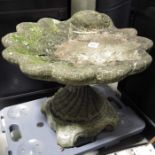 Bird bath, formed as a sea shell.