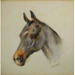 R B, Horse study, 17 x 17 cm, mongrammed, framed,