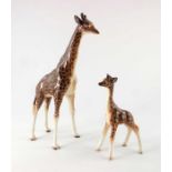 A Beswick figure of a giraffe and calf
