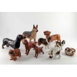 A collection of Royal Doulton dogs