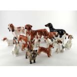 A collection of Royal Doulton dogs