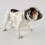 A Royal Doulton figure of a bulldog