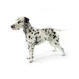 A Royal Doulton Champion Godworth Victor figure of a dalmatian dog, HN 1111