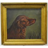 English School (19th century), Red Setter, oil on