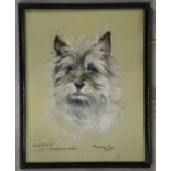 Marjorie Cox (1915-2003), Terrier head, pastels