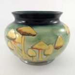 Philip Richardson for Moorcroft, a Fairy Rings bowl