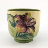 Walter Moorcroft, hibiscus cache pot, cylindrical form