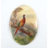James Stinton for Royal Worcester, a pheasant painted plaque, 1928, signed, puce mark, 11cm long