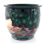 Sally Tuffin for Moorcroft, Mamoura pattern cache pot