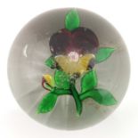 Baccarat, pansy flower, dark purple and yellow petals with stardust centre, opening bud, circa 1850,