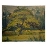 Druie Bowett (1924-1998), Trees, oil in canvas, signed, 50cm x 60cm, unframed