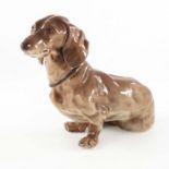 A Nymphenburg figure of a dachshund