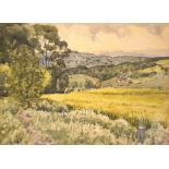 David Birch (b.1945), Cotswold Landscape, watercolour, signed, 28cm x 38cm, framed