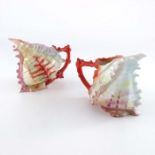 A near pair of Royal Bayreuth porcelain Spiky Shell creamer jugs,