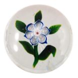 Baccarat, anemone flower with stardust centre, circa 1850, star cut base, unsigned, 5cm diameter