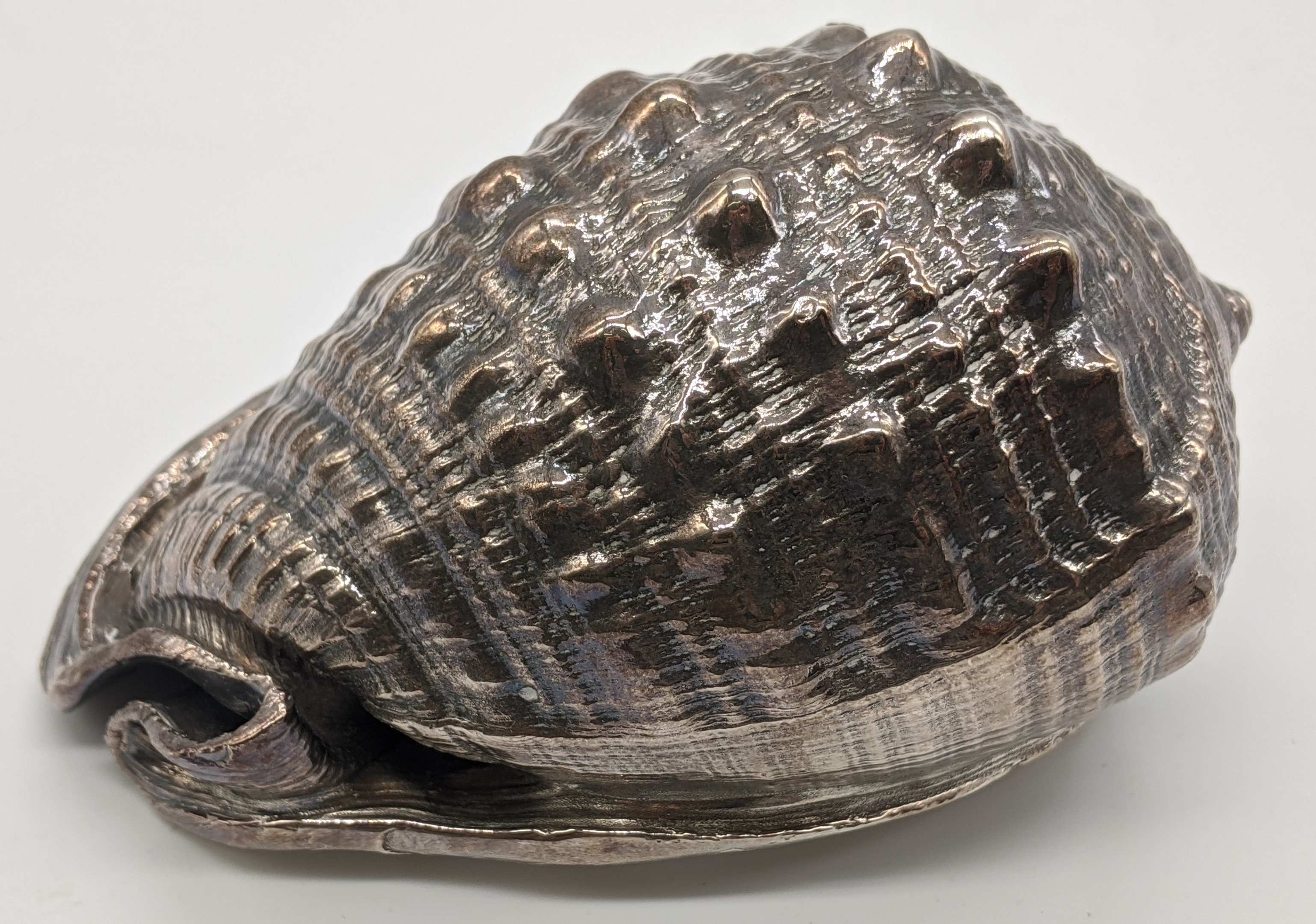 A silver coated conch shell by Mario Buccellati, H.5.5cm L.11cm W.7cm - Image 3 of 5