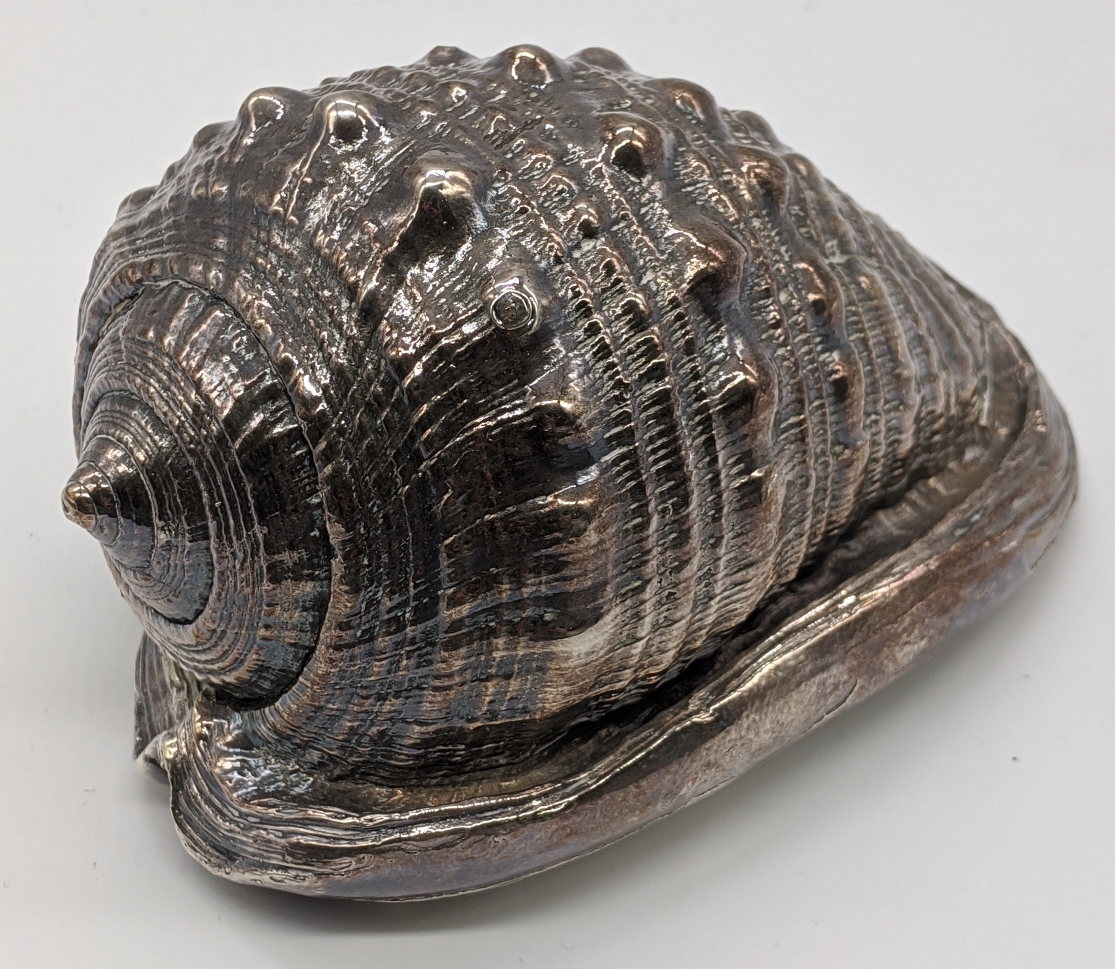 A silver coated conch shell by Mario Buccellati, H.5.5cm L.11cm W.7cm