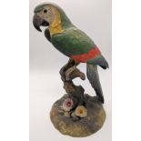 A Royal Crown Derby model of a Macaw, H.27cm