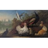 Marmaduke Cradock (British, 1660-1717), A Pheasant with other fowl in a parkland setting, oil on