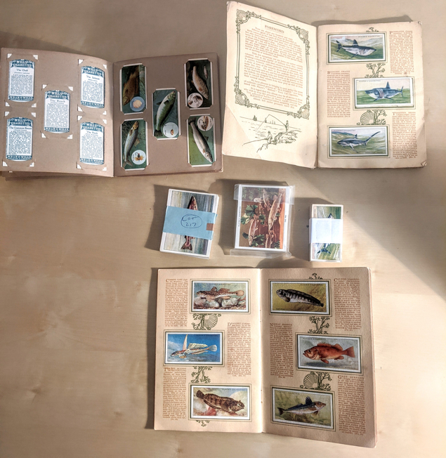 A collection of fish cigarette cards: John Player & Sons, Fresh Water Fishes, a series of 25, - Image 2 of 2