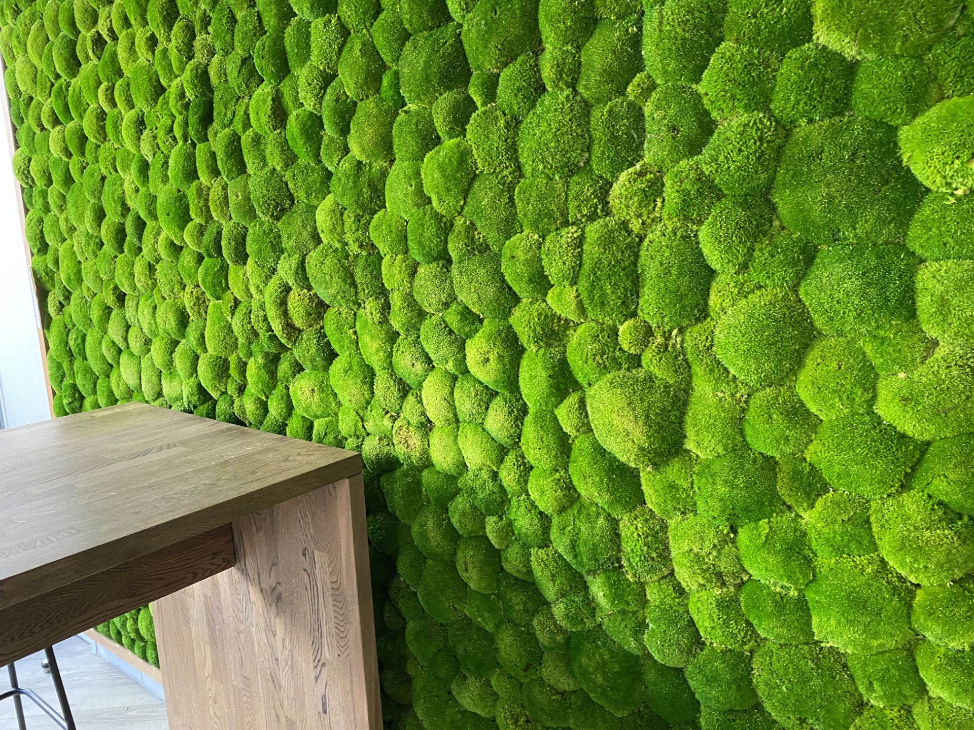 Real Life Moss Wall - Image 4 of 5