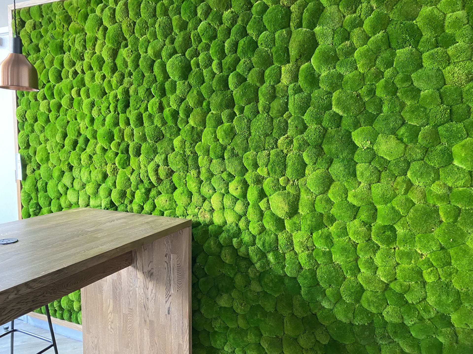 Real Life Moss Wall