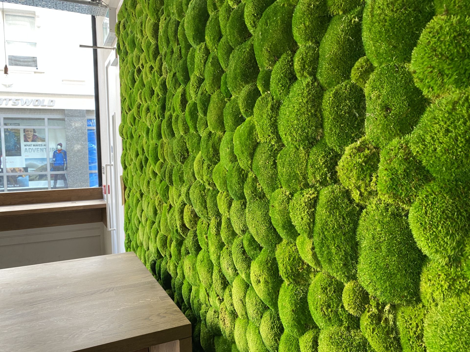 Real Life Moss Wall - Image 5 of 5