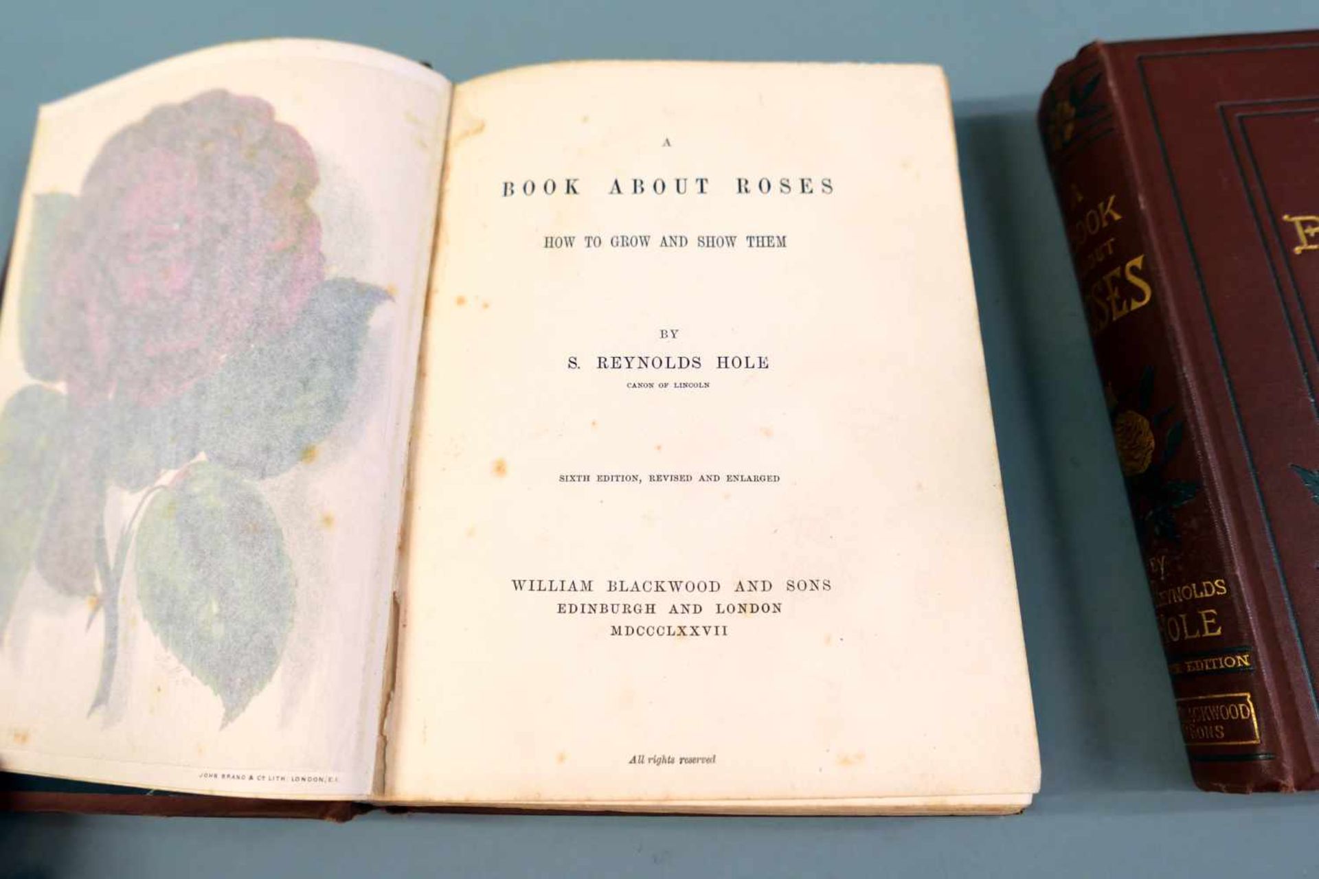 S. Reynolds Hole, A book about roses"How to grow and show them." Illustrierter brauner Leinenband