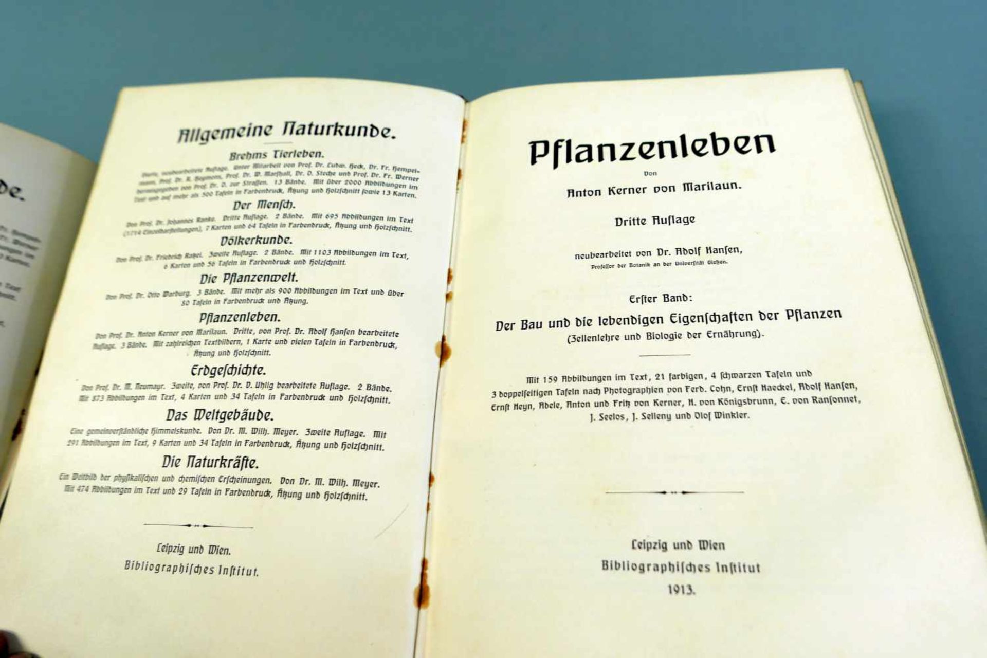 Anton Kerner von Marilaun, PflanzenlebenDritte Auflage von Adolph Hansen neubearbeitet, mit 63