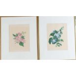 Paar Lithografien "Clematis"Farblithografie mit roséfarbener gefiederter und blauer Clematis.