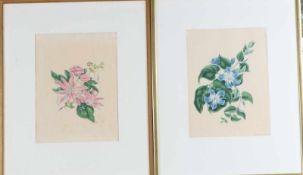 Paar Lithografien "Clematis"Farblithografie mit roséfarbener gefiederter und blauer Clematis.