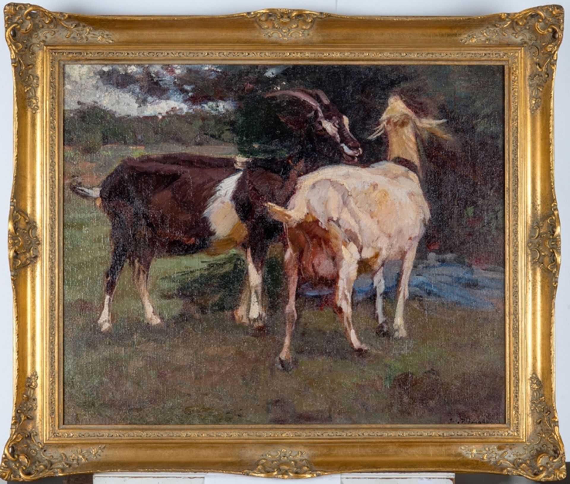 Junghanns, Julius Paul (1876 - 1958)Zwei Ziegen im Baumschatten. Oel/Lwd., 57 x 70 cm, rechts u.