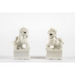 Paar Figuren von fo-Hunden , Kangxi