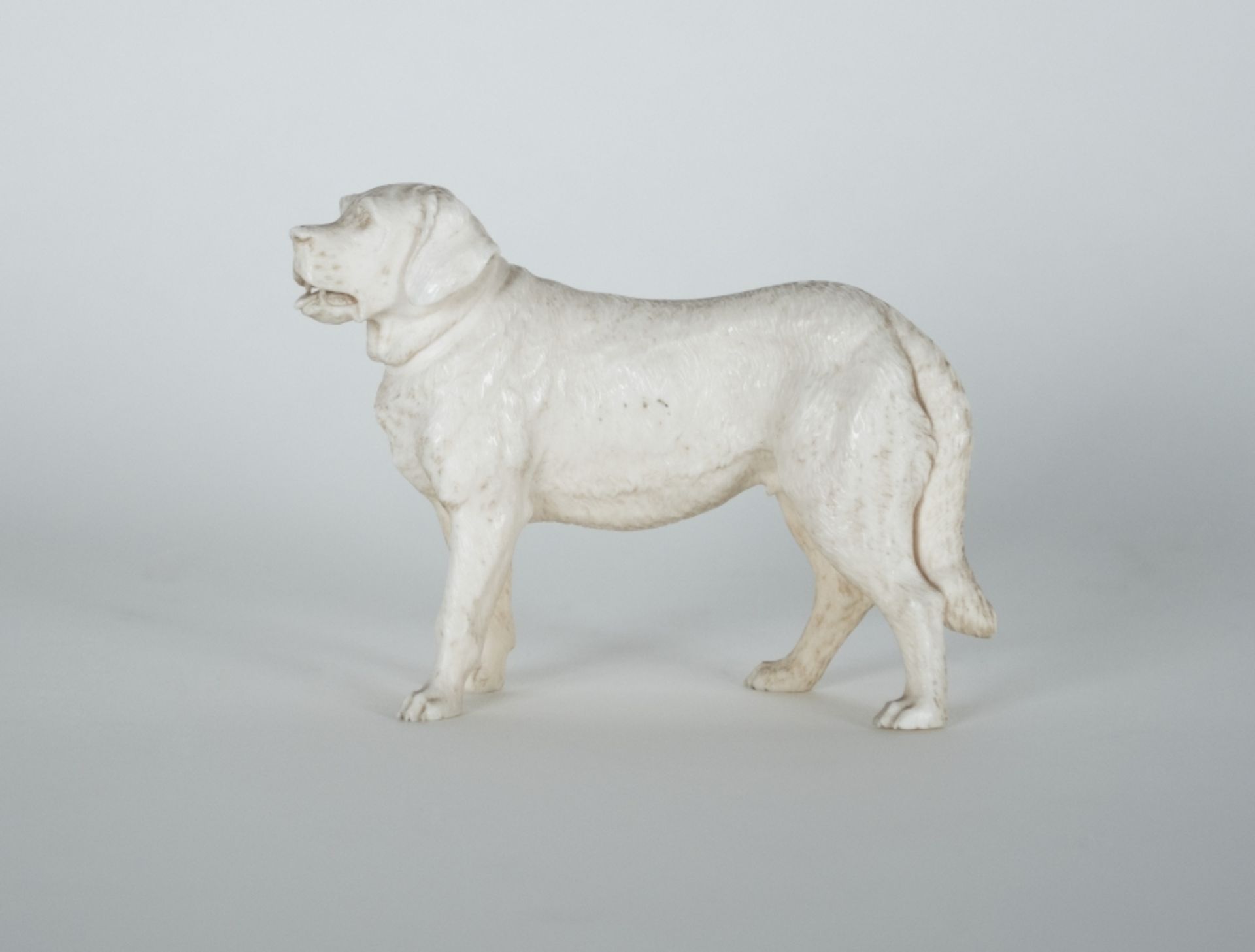 Tierbildhauer des 20. Jh.HundBein, beschnitzt; L 10,5 cm, H 8,5 cm""Animal sculptor of the