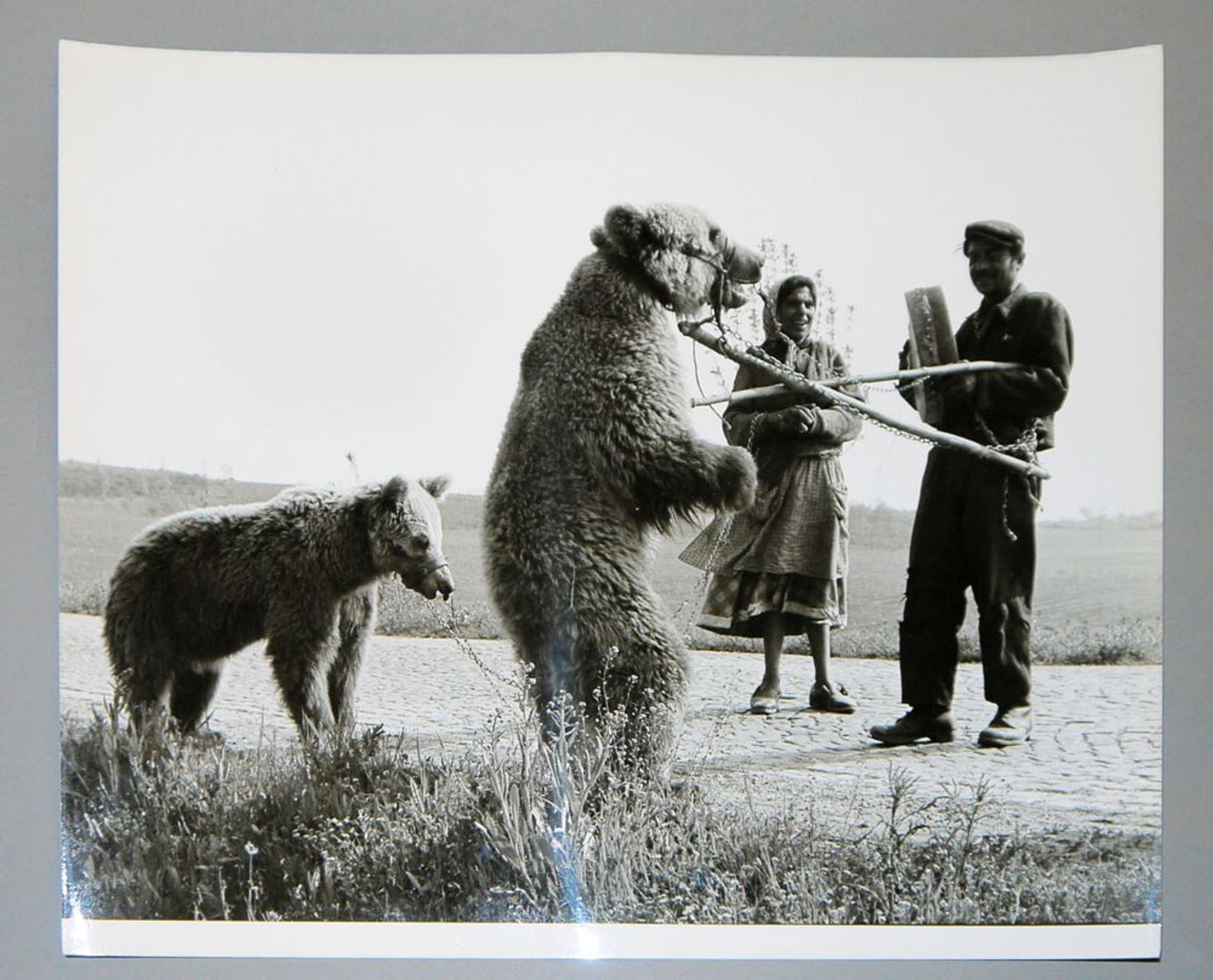 Toni Schneiders, Jugoslawien: Zigeuner in Serbien mit Bären, s/w Fotografie um 1965