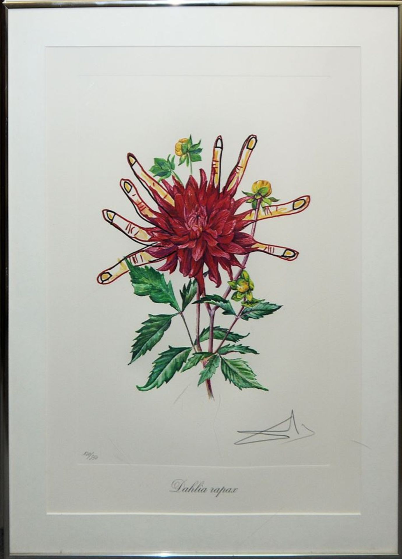 Salvador Dali, "Surrealistic Flowers", 1972, 5 Heliogravuren mit Reliefprägung (Carborundum), alle - Bild 4 aus 6