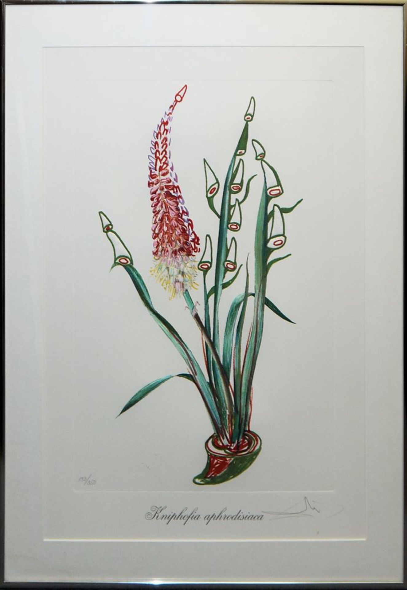 Salvador Dali, "Surrealistic Flowers", 1972, 5 Heliogravuren mit Reliefprägung (Carborundum), alle - Bild 3 aus 6