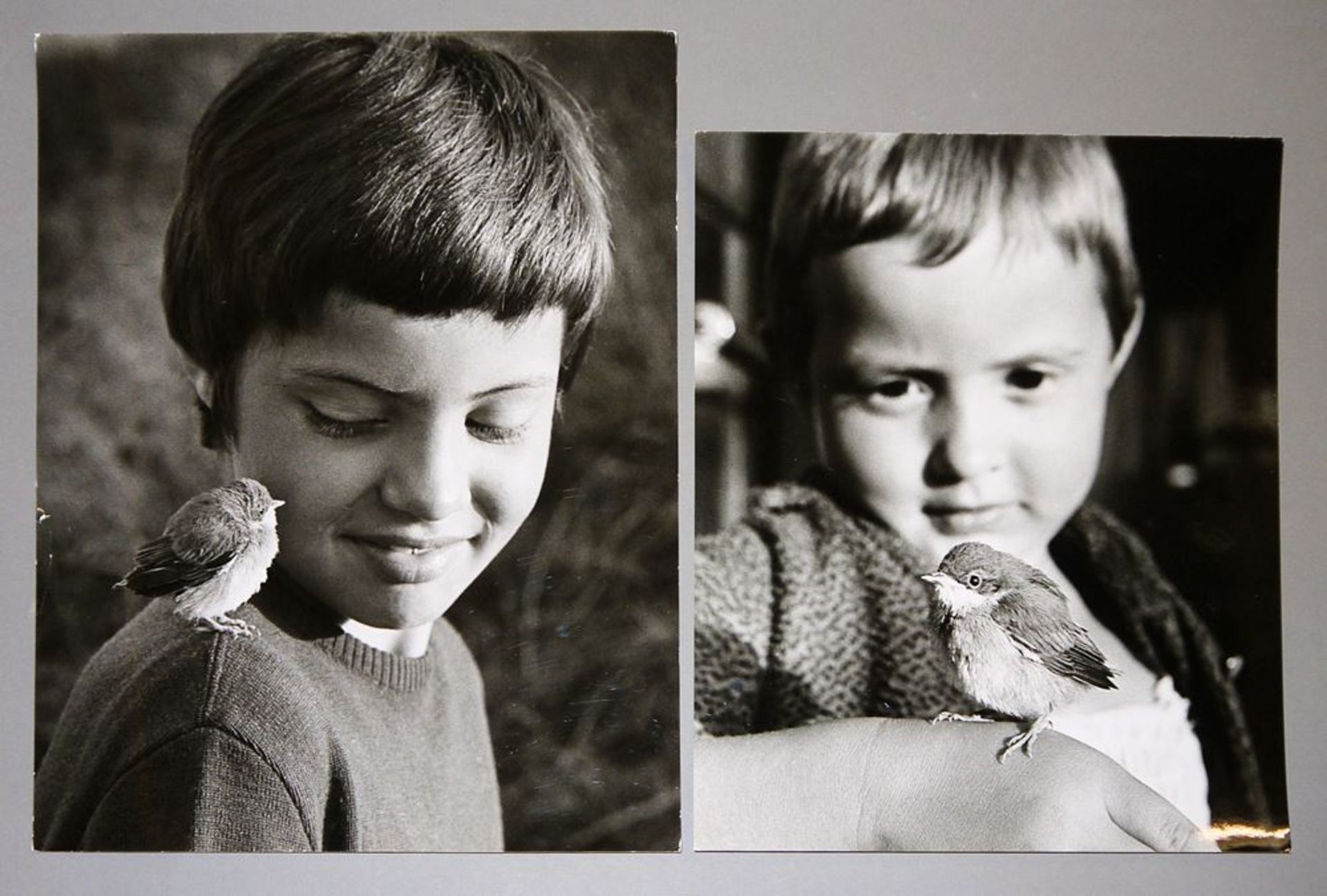 Toni Schneiders, Kinder mit jungem Vogel auf der Hand/Schulter, 2 s/w Fotographien