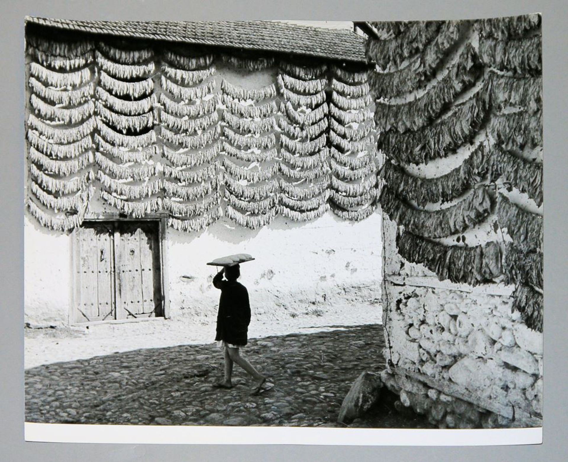 Toni Schneiders, Jugoslawien: Straße mit Tabak in Prizren. Macedonien, s/w Fotografie von 1965Toni