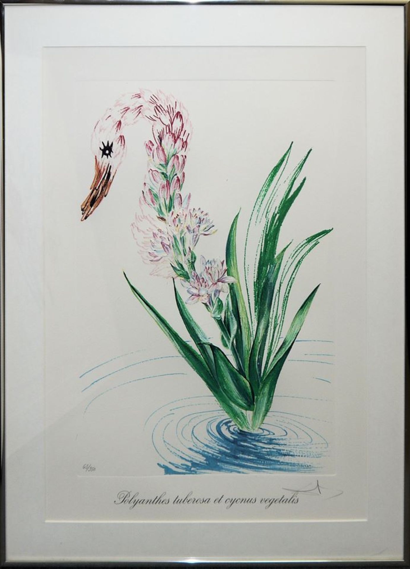 Salvador Dali, "Surrealistic Flowers", 1972, 5 Heliogravuren mit Reliefprägung (Carborundum), alle - Bild 5 aus 6