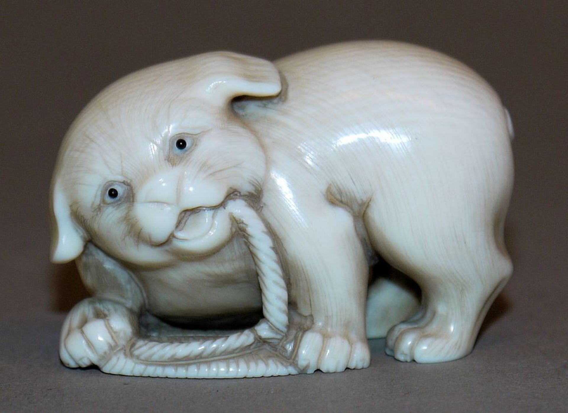 Hündchen mit Sandale, japanische Elfenbein-Netsuke