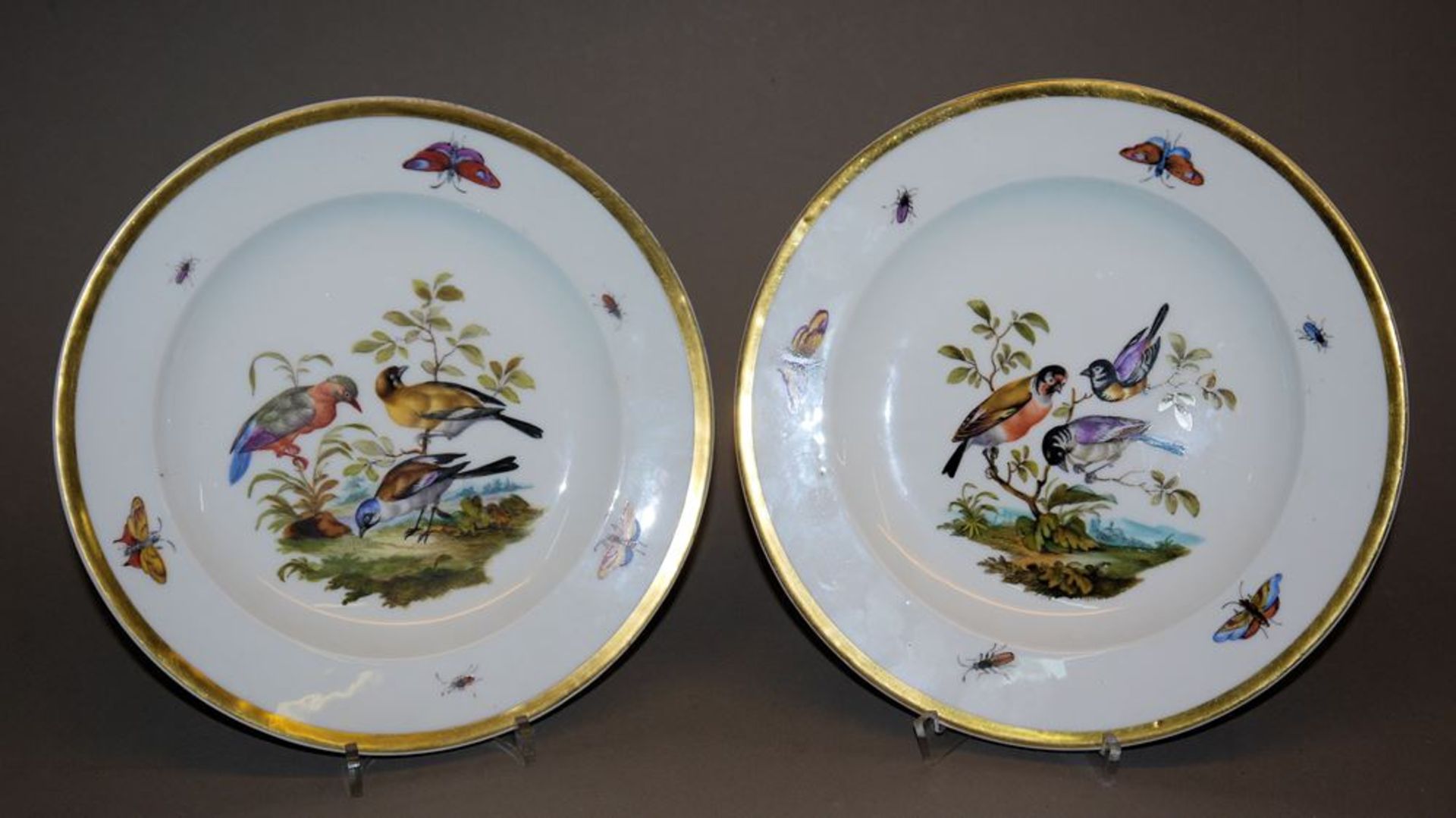 Zwei Teller mit Vogelmalerei, Kgl. Meißen um 1800