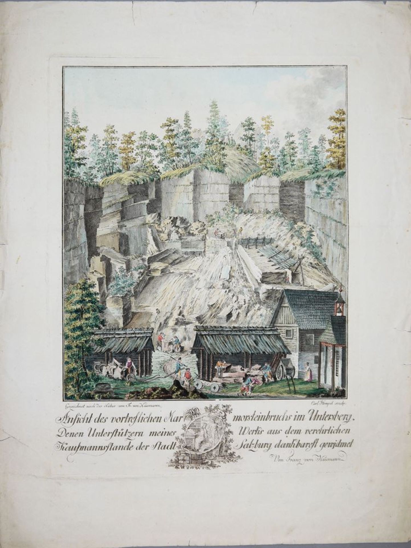 August Franz Heinrich von Naumann, 5 reich altkolorierte Radierungen "Sammlung - Image 4 of 6