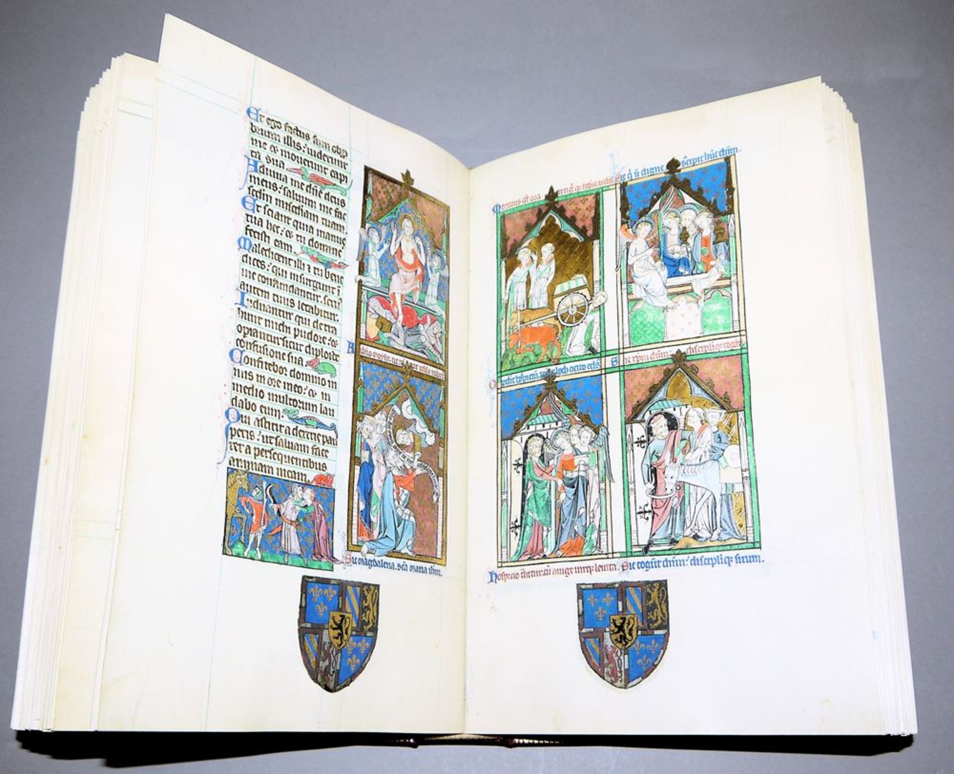 Der Peterborough-Psalter, MS. 9961-62, Bibliothèque royale de Belgique, Faksimi - Bild 2 aus 2