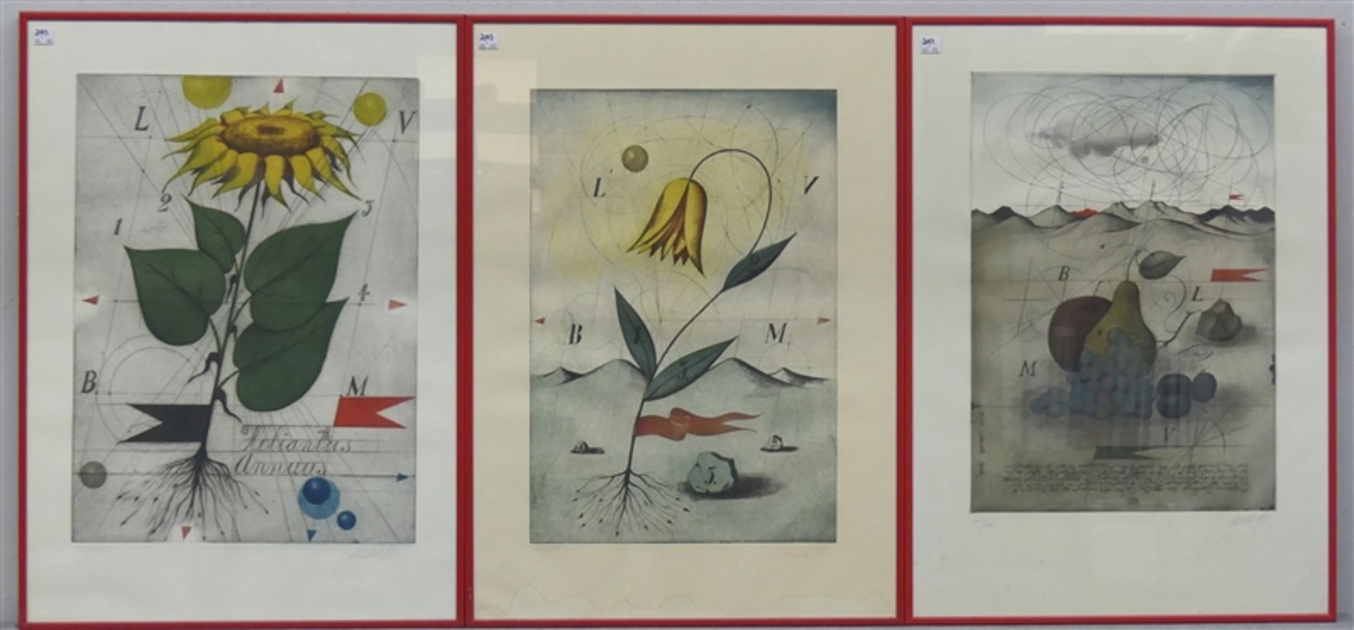 3 Farblithographien Blumen und Früchte in surrealen Landschaften, signiert, nummeriert, Alois