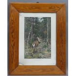 Farbdruck Hirsch im Wald, schlechter Zustand, 46x30 cm, im Rahmen,