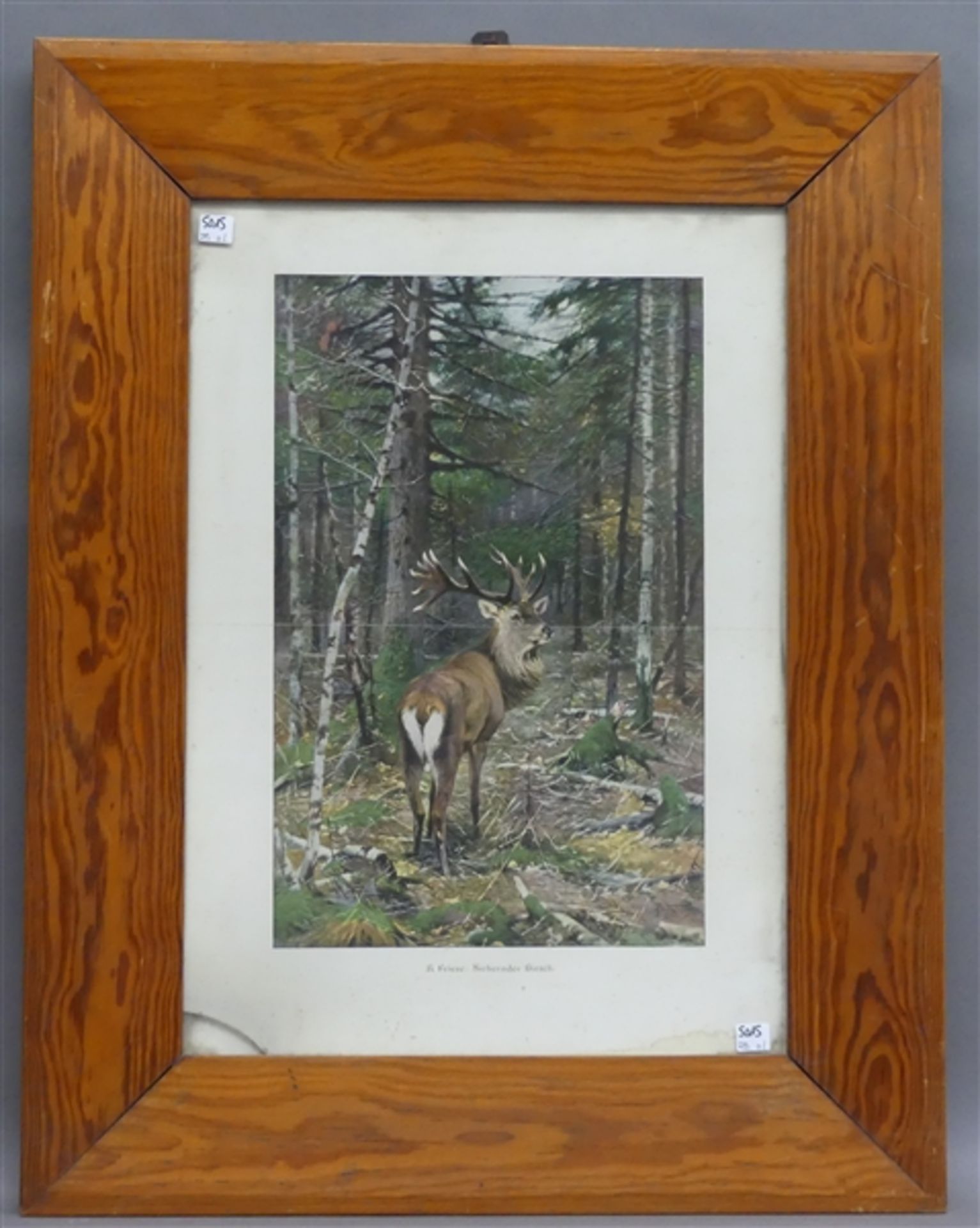 Farbdruck Hirsch im Wald, schlechter Zustand, 46x30 cm, im Rahmen,