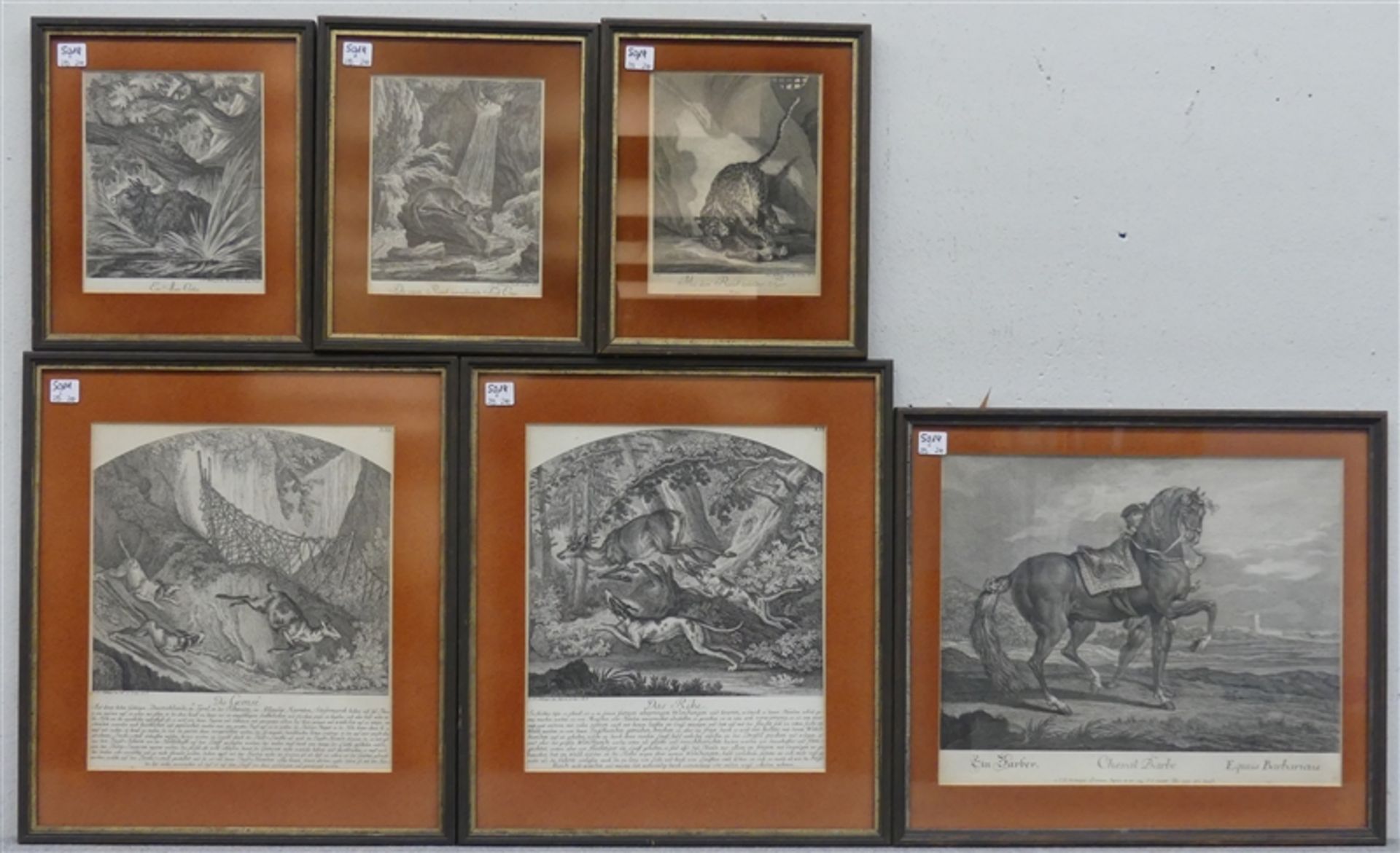 6 Kupferstiche Johann Elias Ridinger, Tierdarstellungen, späte Abzüge, teilweise beschnitten,