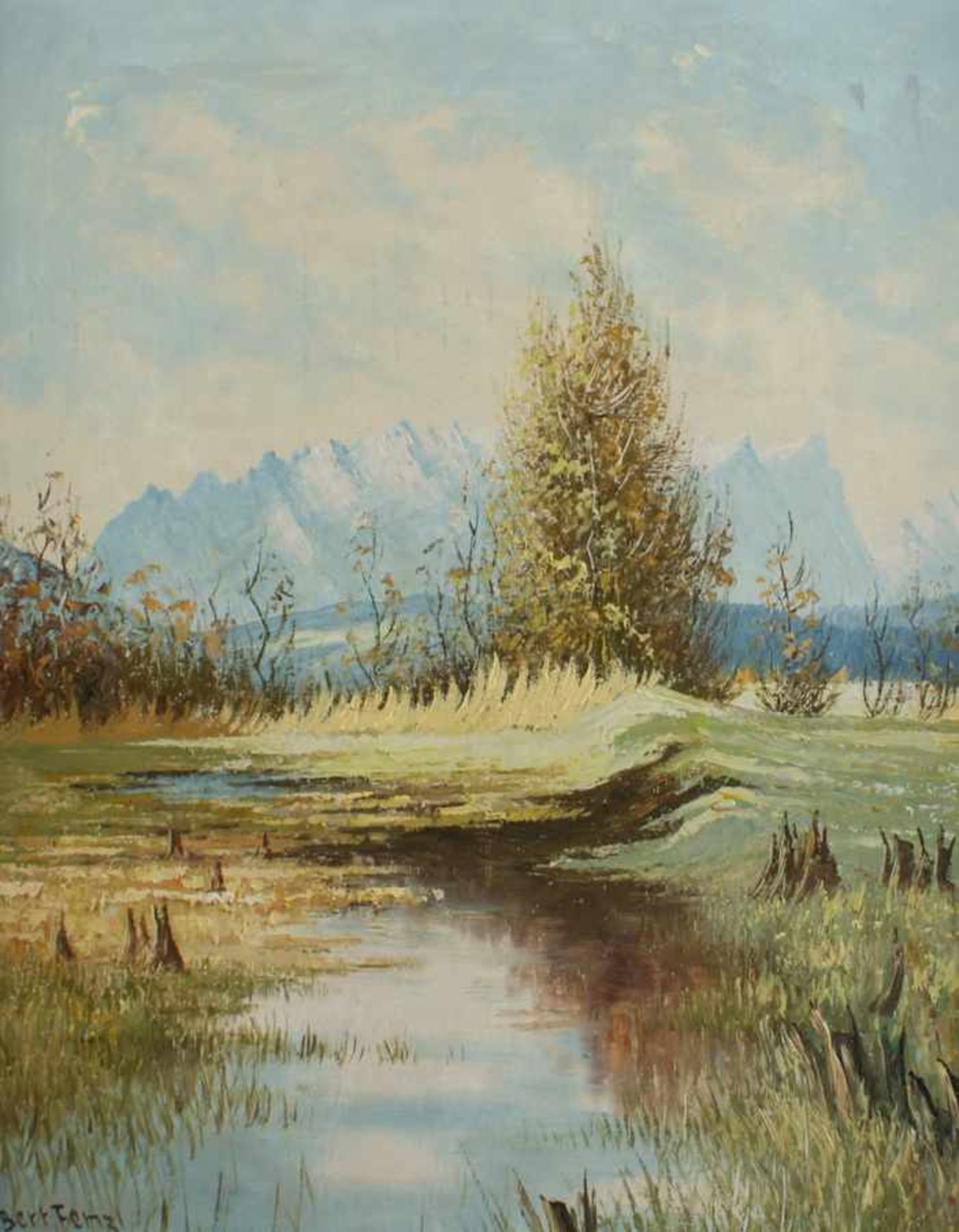 Idyllische Moorlandschaft, Öl/Platte, sign. Bert Fenzl, ger., 63 x 53 cm - Bild 2 aus 5