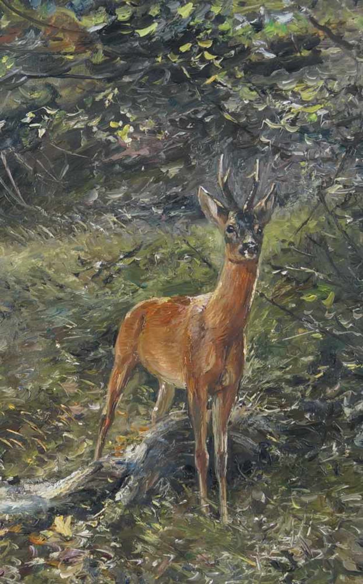 Willi Lorenz (1901-1981), Reh im Wald, Öl auf Leinwand, gerahmt, signiert, 61x81cm,< - Bild 3 aus 6